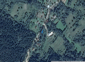 Image category