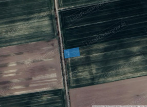 Image category