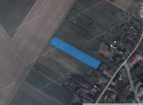 Przetargi, Działki, Łomczewo, Wielkopolskie