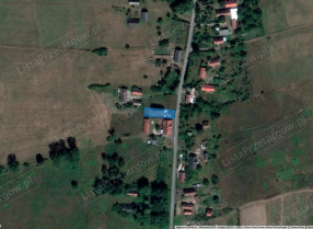 Image category