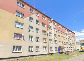 Image category