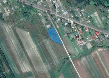 Image category