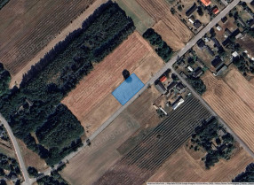Nieruchomość