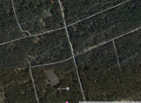 Image category