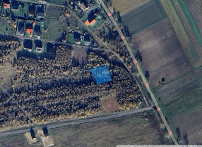 Nieruchomość