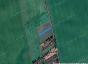 Image category