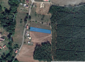 Image category
