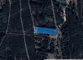 Image category