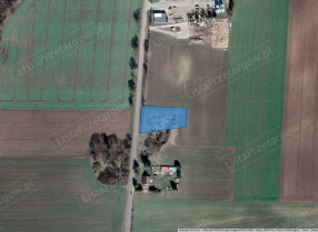 Image category