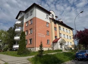 Image category