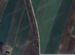 Image category