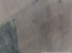 Image category