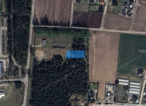 Nieruchomość