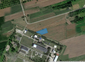Nieruchomość
