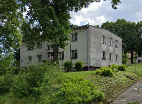 Image category