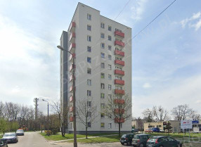 Image category