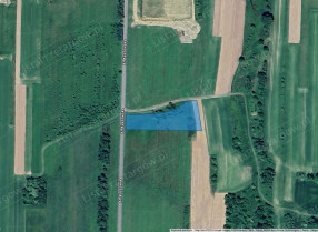 Image category