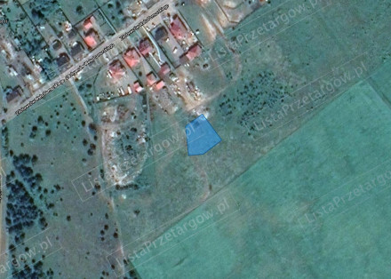 Image category