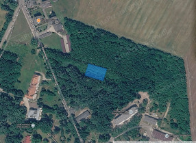 Nieruchomość