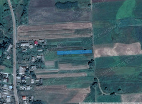 Image category