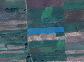 Image category