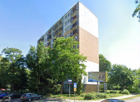 Image category