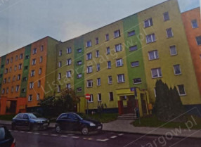 Image category