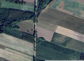 Nieruchomość