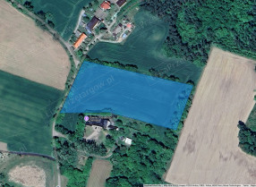 Image category
