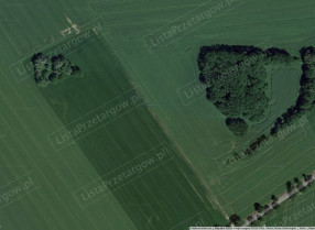 Image category