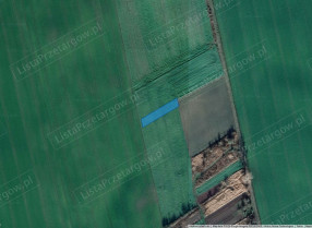 Image category