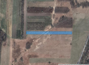Image category