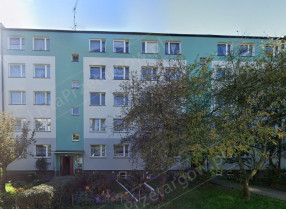 Image category