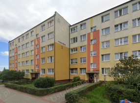 Image category