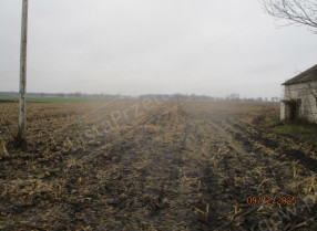 Nieruchomość
